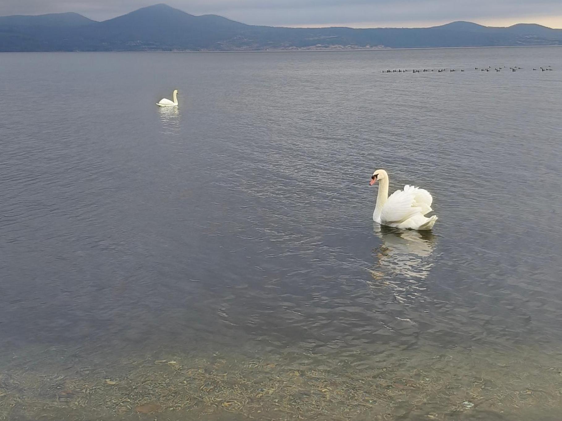 La Mansarda Di Matteo Lägenhet Bracciano  Exteriör bild